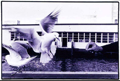 Untitled AUST_2_19 - Satoshi Kinoshita