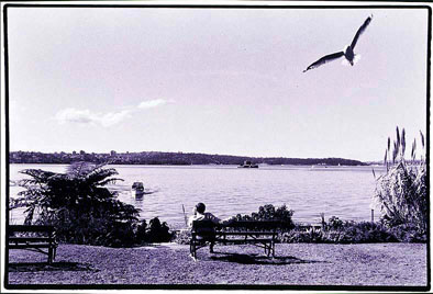 Untitled AUST_2_27 - Satoshi Kinoshita