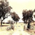Untitled BR_10