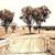 Untitled BR_16