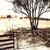 Untitled BR_17