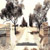 Untitled BR_24