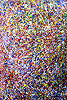 Constancy Phenomenon #0604/ 2004