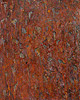 Metamorphosis #1005_1/ 2005
