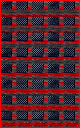 American Flag (40) / Black / 2001 - Satoshi Kinoshita