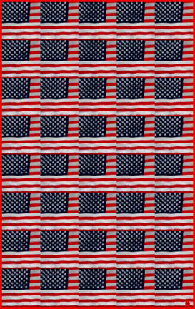American Flag (40) /White / 2001 - Satoshi Kinoshita