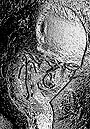 Olivier Messiaen/ 2009
