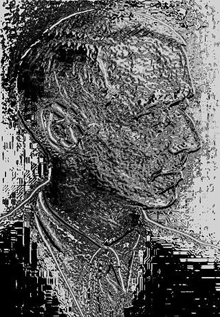 Max Ernst/ 2009 - Satoshi Kinoshita