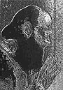 Arvo Prt/ 2009