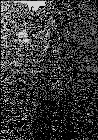 King Kong climbs The Empire State Building/ 2011 - Satoshi Kinoshita