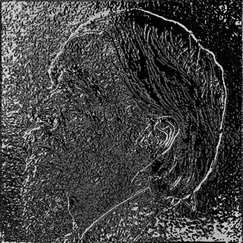 Sri Aurobindo/ 2011 - Satoshi Kinoshita