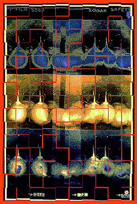 Tamarillos /1999 - Satoshi Kinoshita
